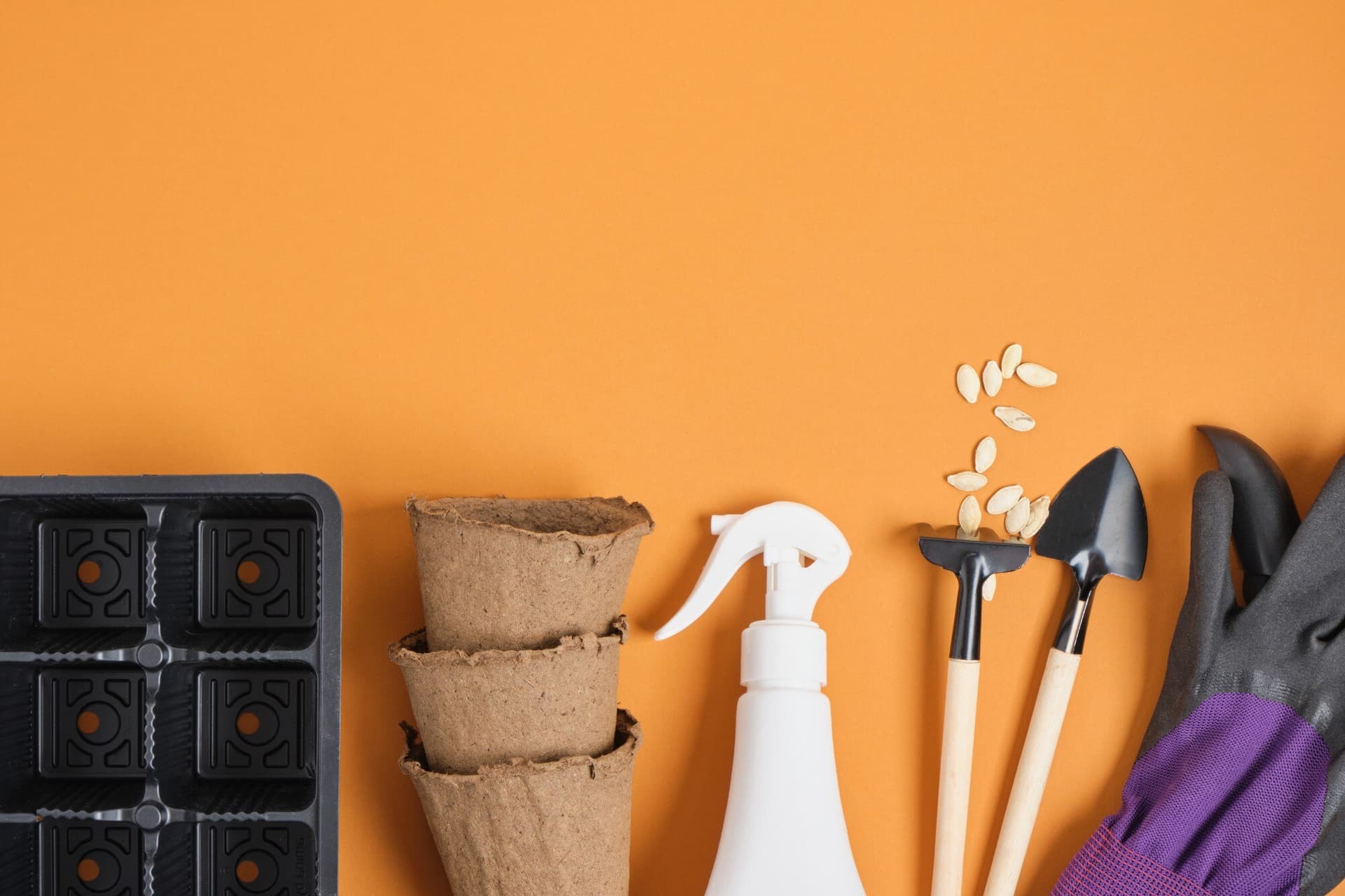 Integrating Natural Pest Control Into Your Property Maintenance Plan