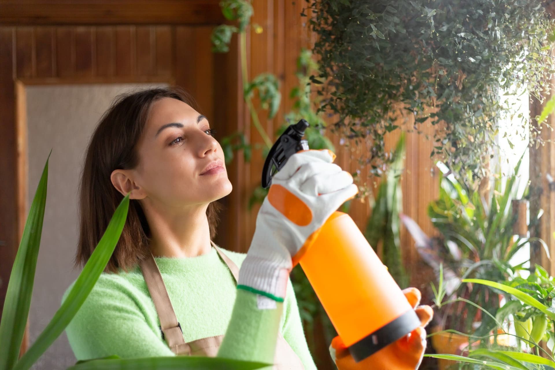 Building Trust: Expert Advice on Eco-Friendly Pest Solutions
