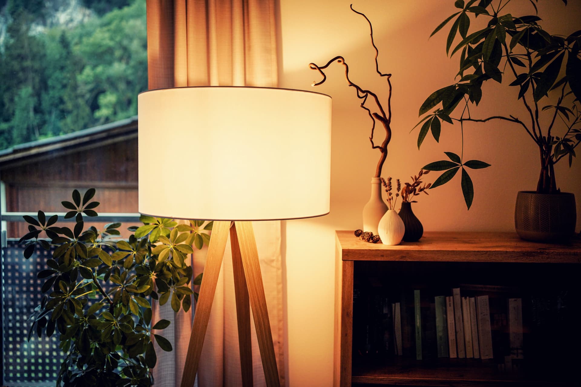 How to Naturally Reduce Pest Attraction to Your Living Areas