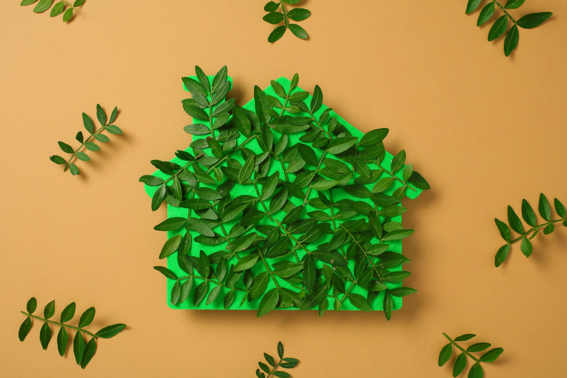 Preventing Pest Intrusion in Rental Homes: Practical Eco-Friendly Tips