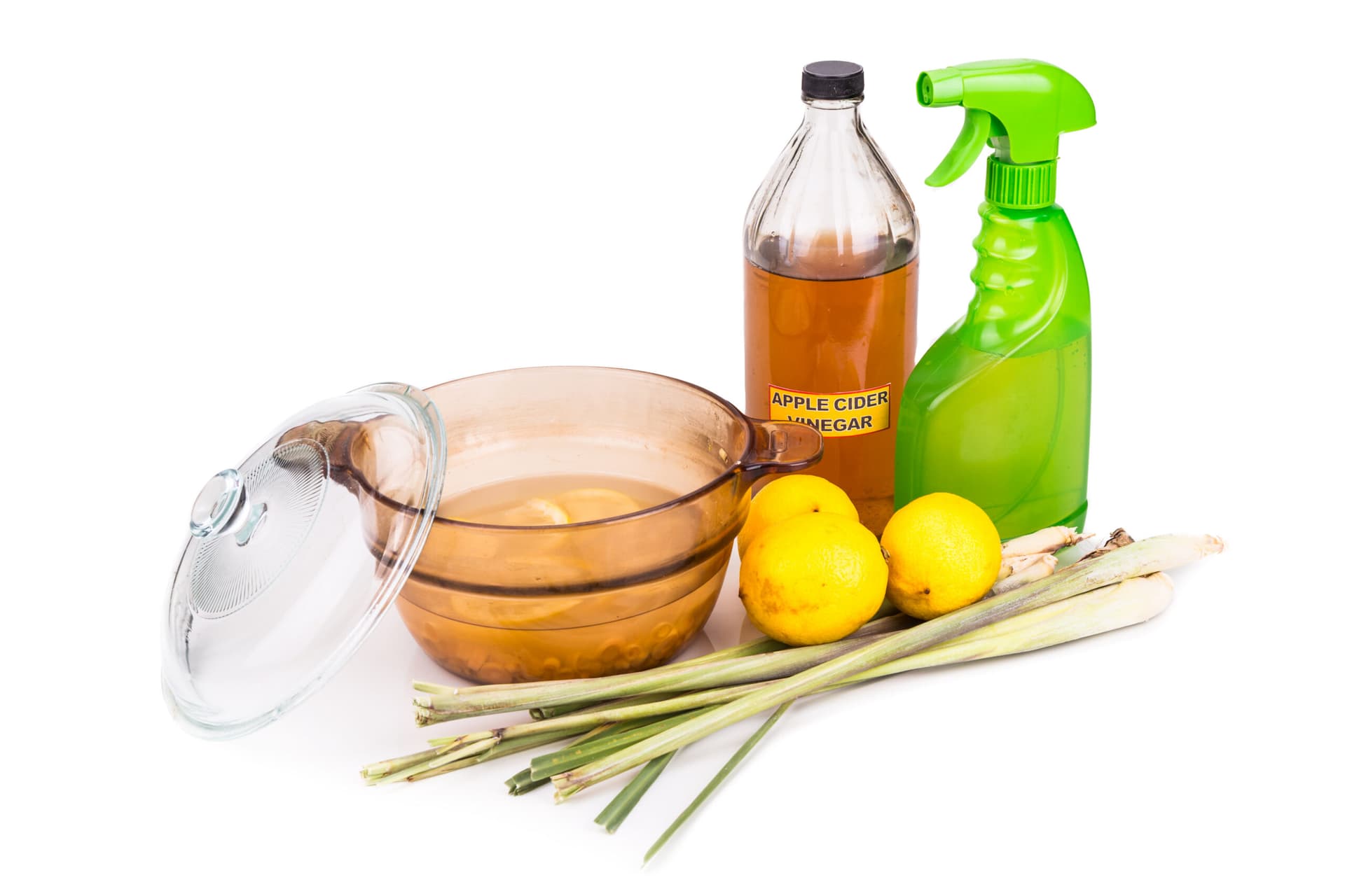 Affordable DIY Remedies to Keep Your Home Pest-Free