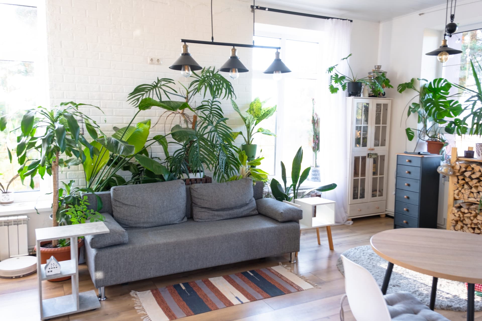 Natural Pest Control: Simple Steps to a Healthier Home Environment