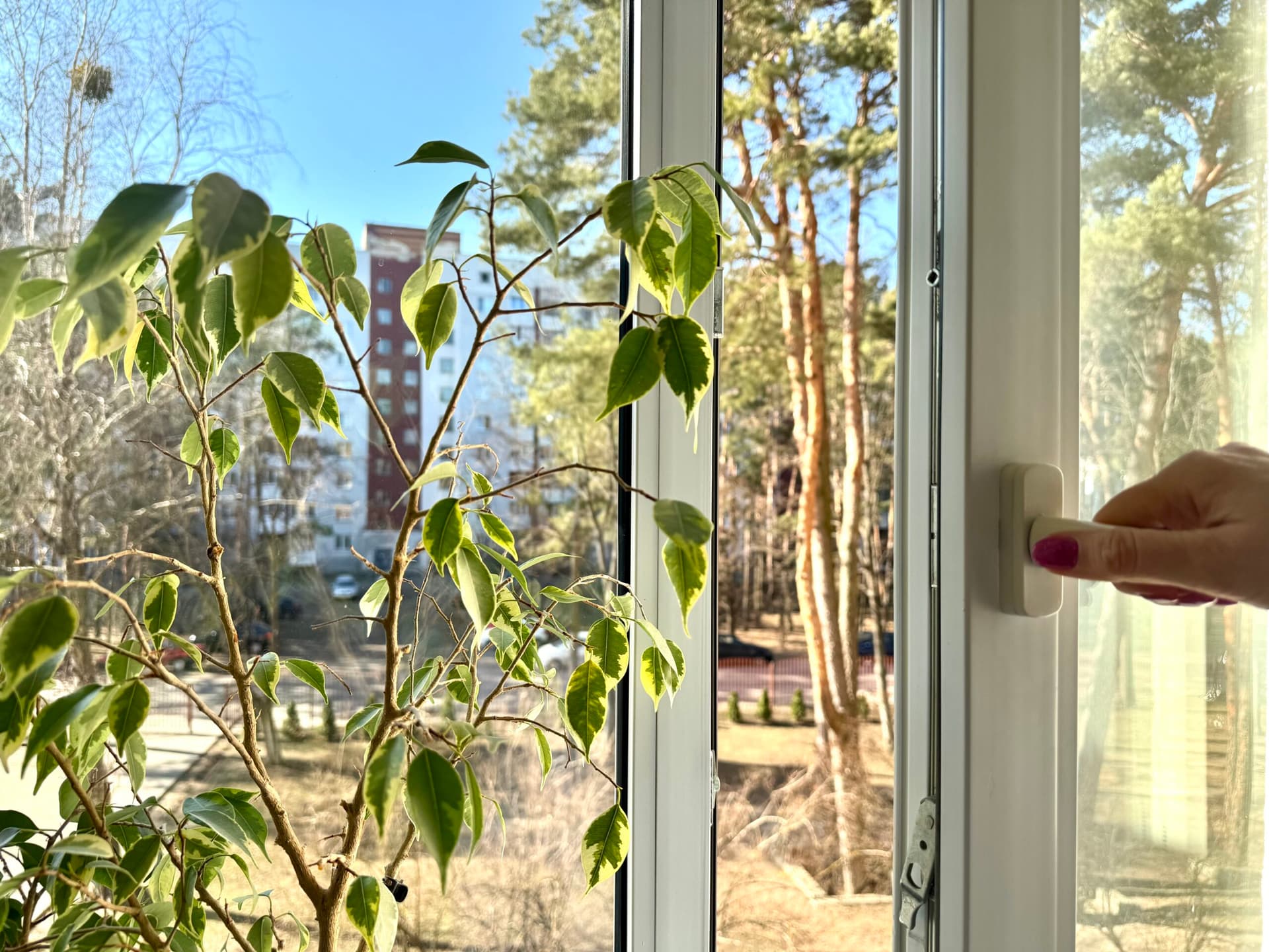 Eco-Friendly Pest Prevention Hacks for Every Season