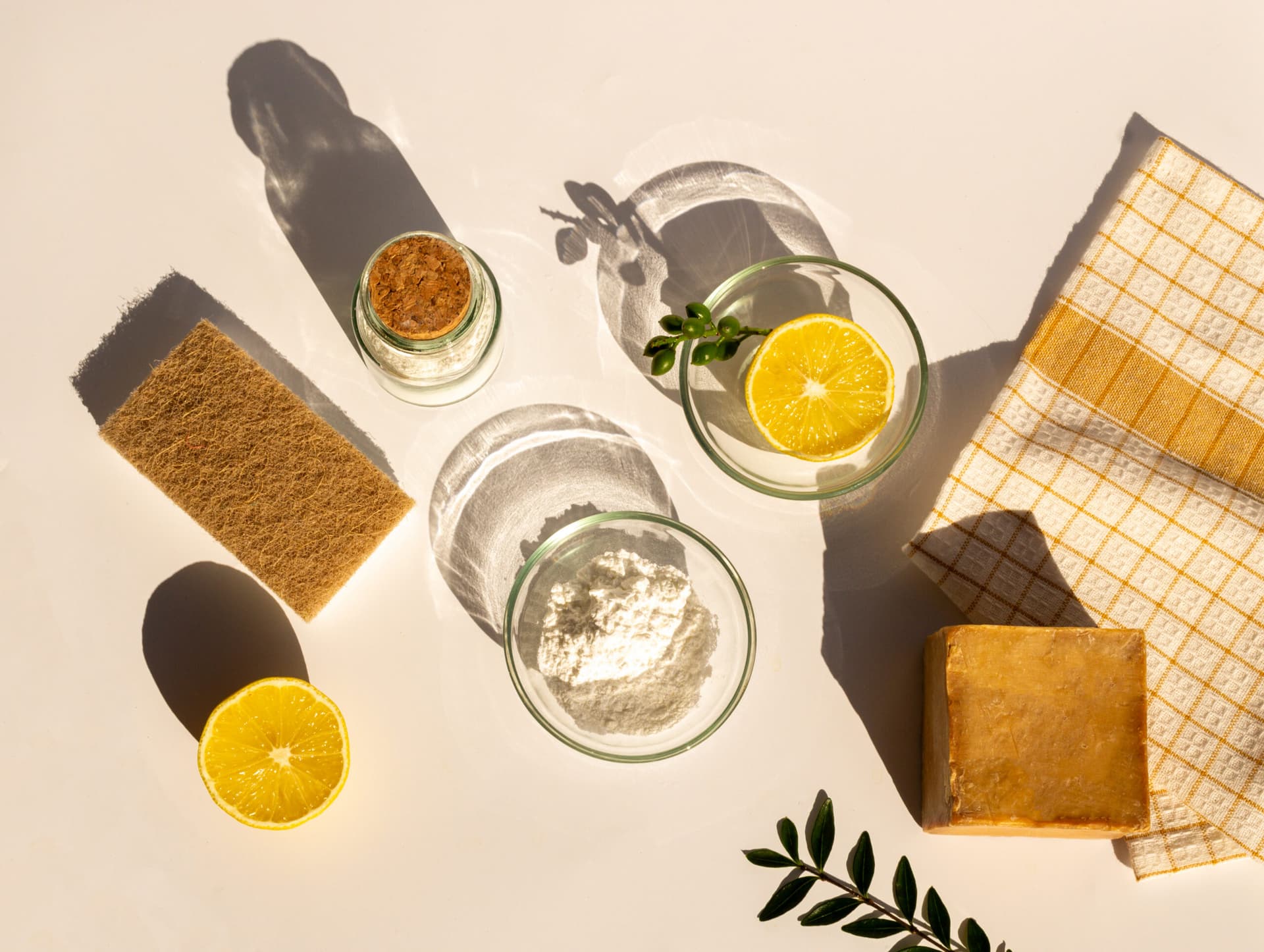 Affordable Natural Pest Control: Harnessing Kitchen Ingredients for a Pest-Free Home