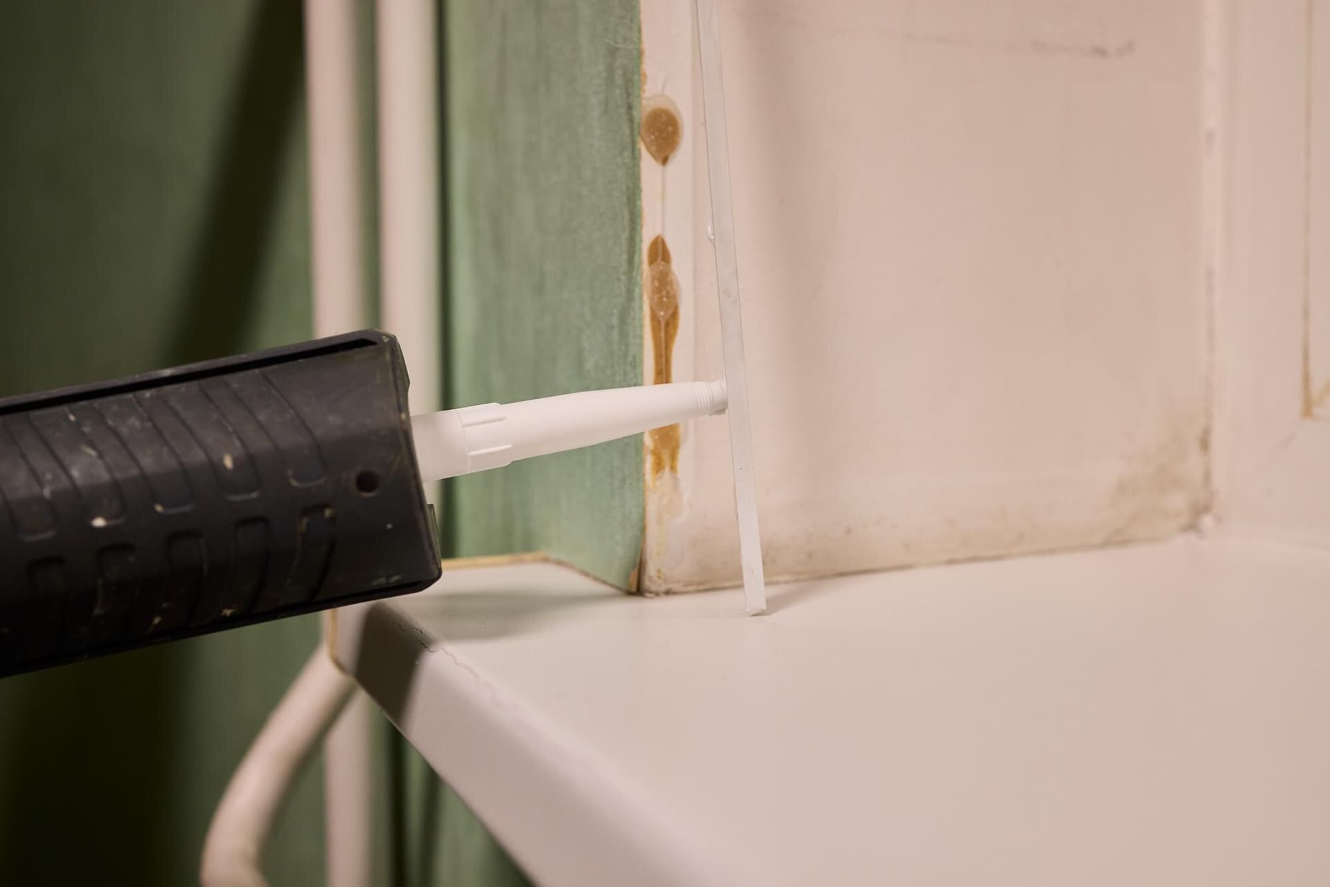 DIY Pest-Proofing: Affordable Tips for Renters and Homeowners