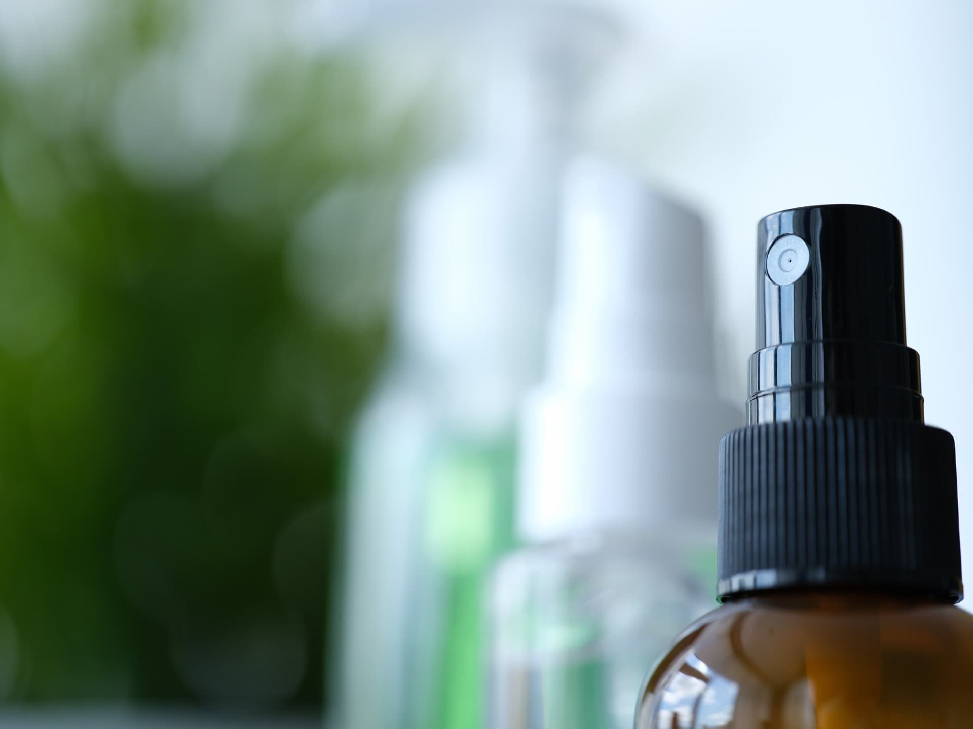 Natural Pest Control Strategies for Renters: Protect Your Home Without Permanent Changes