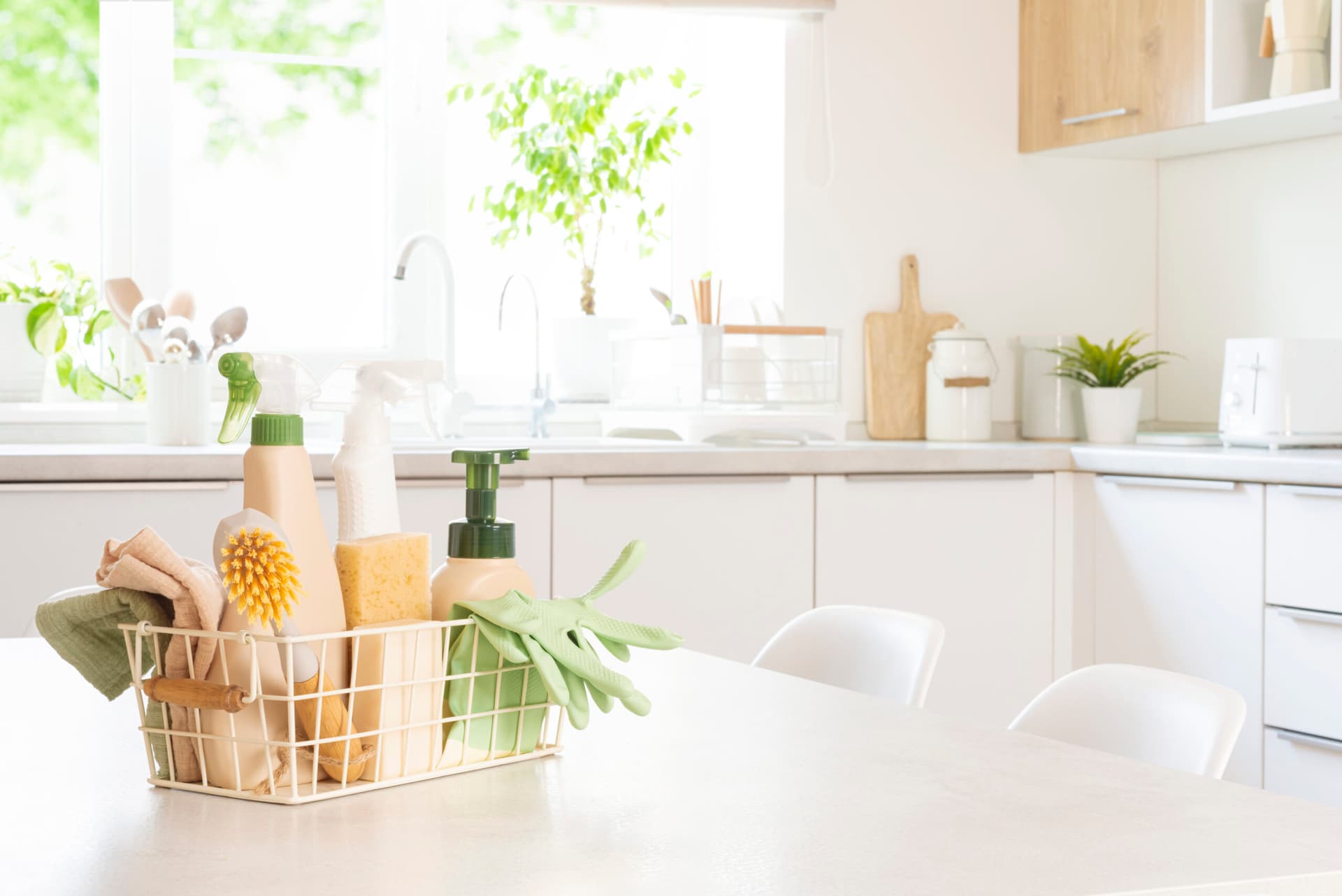 Pest-Resistant Home, Naturally: A Simple Room-by-Room Plan