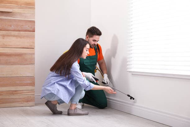 Sayonara Pests Guide: Pest‑Proof Your Home Naturally (Step‑by‑Step)