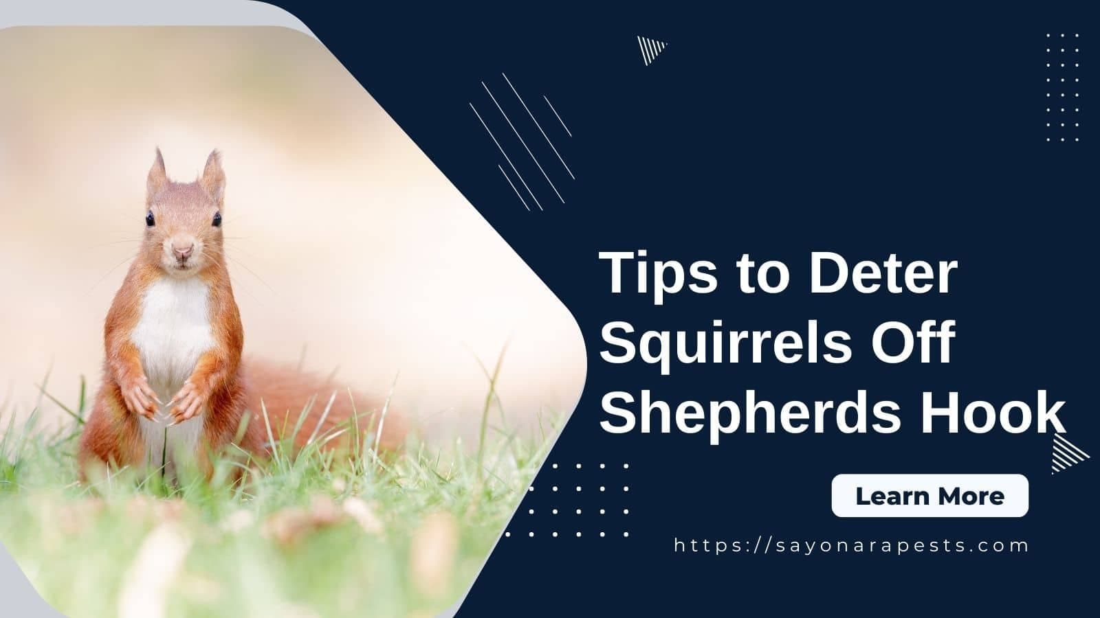 11 Tips To Keep Squirrels From Climbing Shepherds Hook