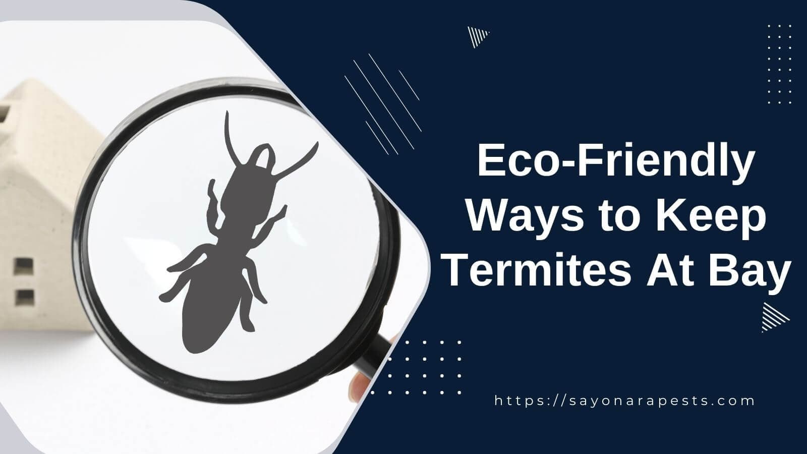Eco-Friendly Ways to Keep Termites at Bay