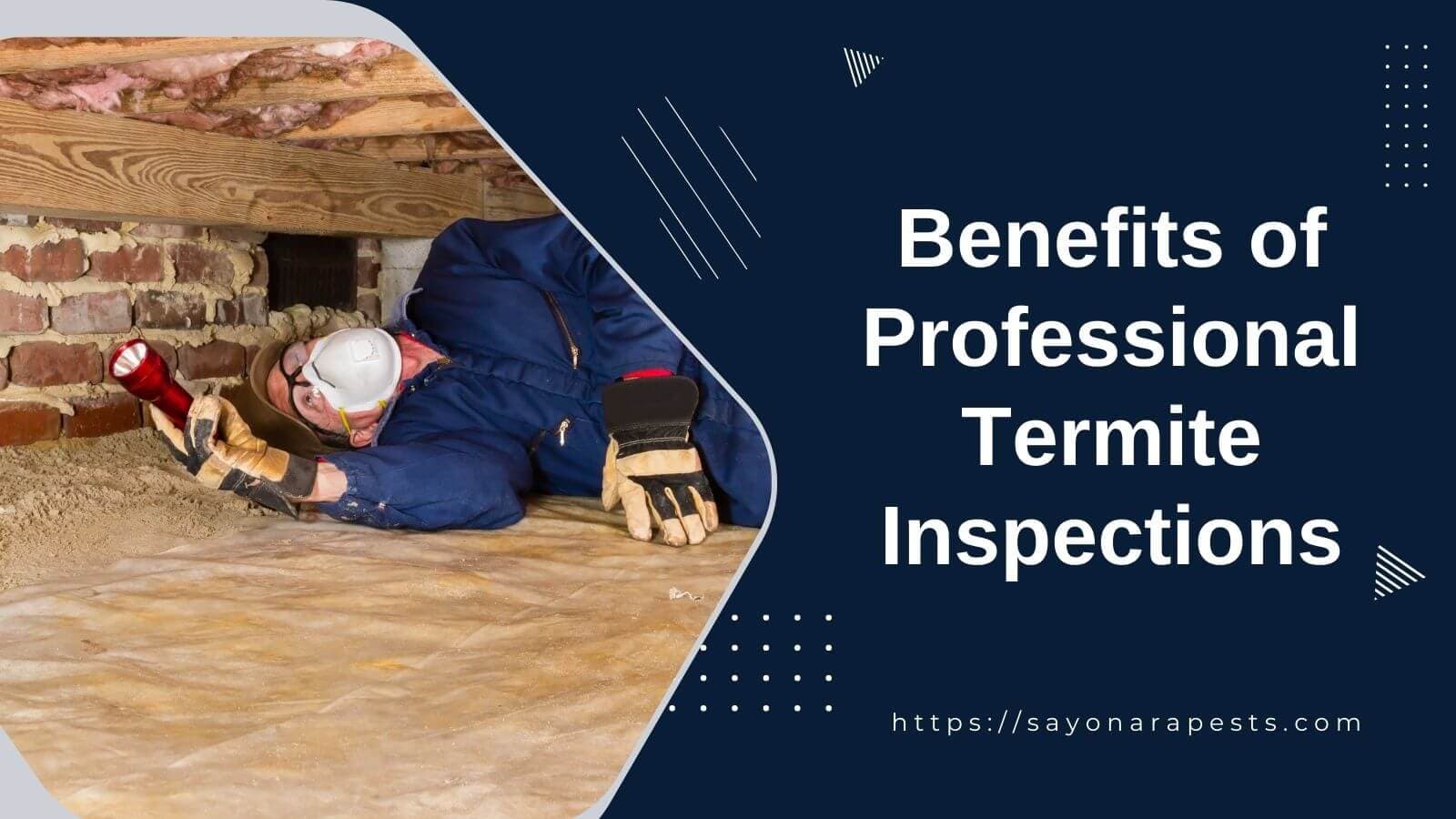 The Benefits of Professional Termite Inspections