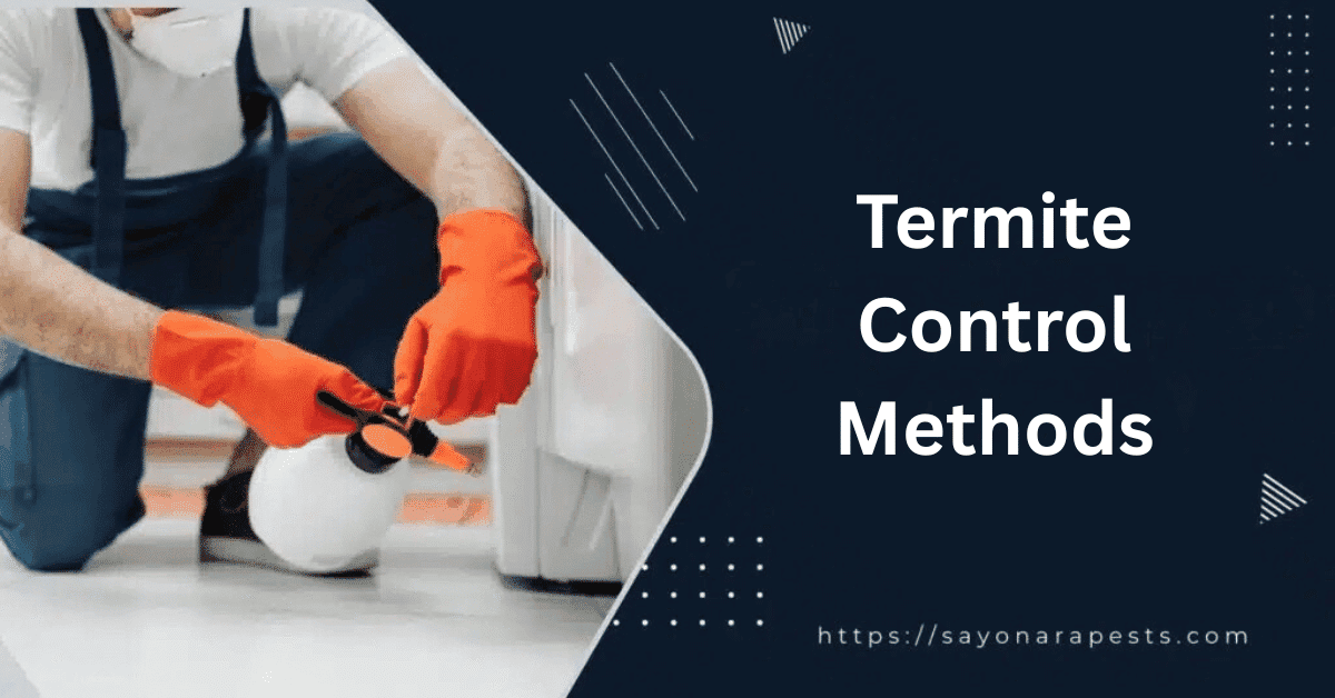 Before You Call Pest Control, Try These Termite Solutions