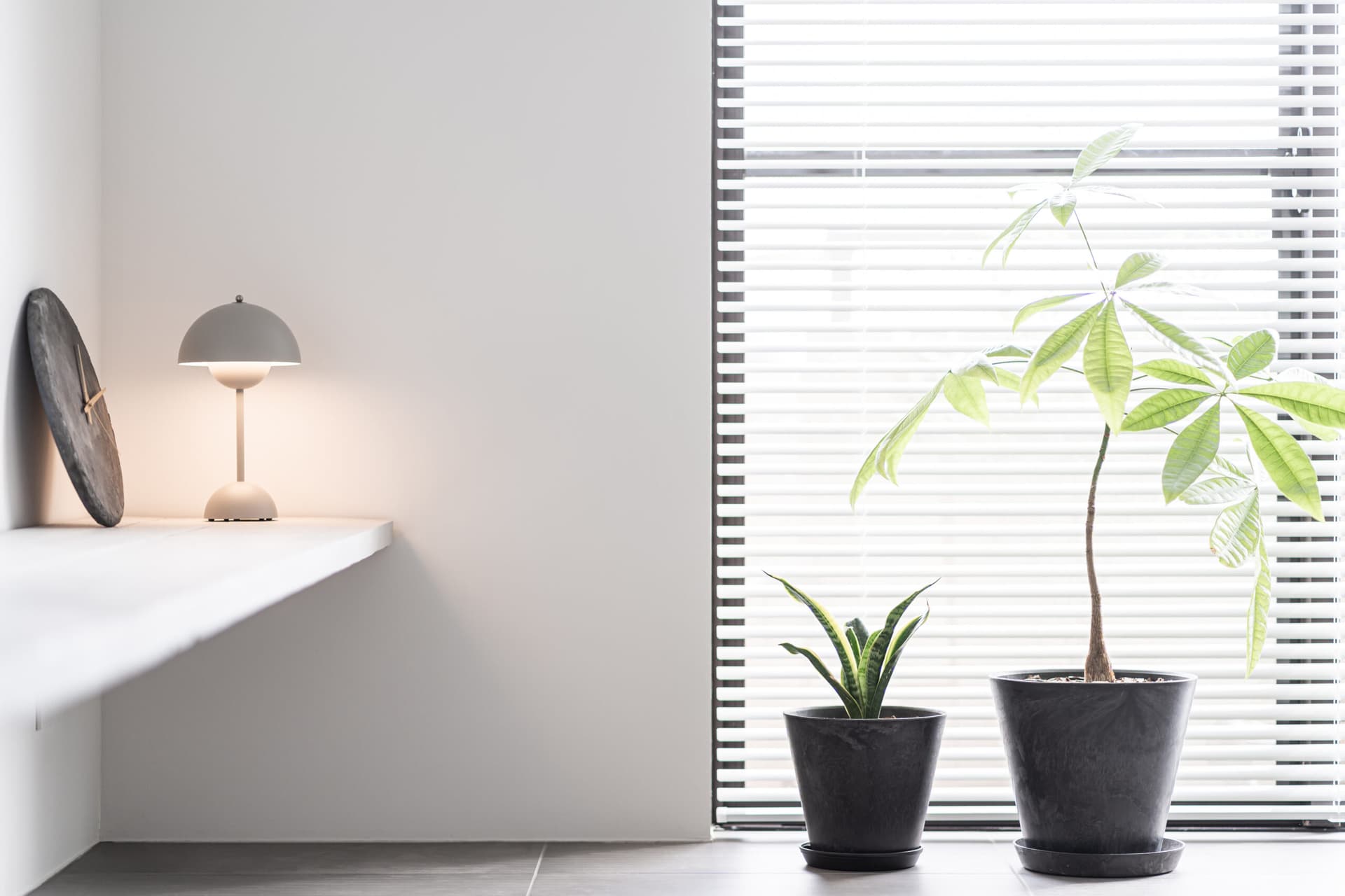 How to Make Your Home Less Inviting to Pests Naturally