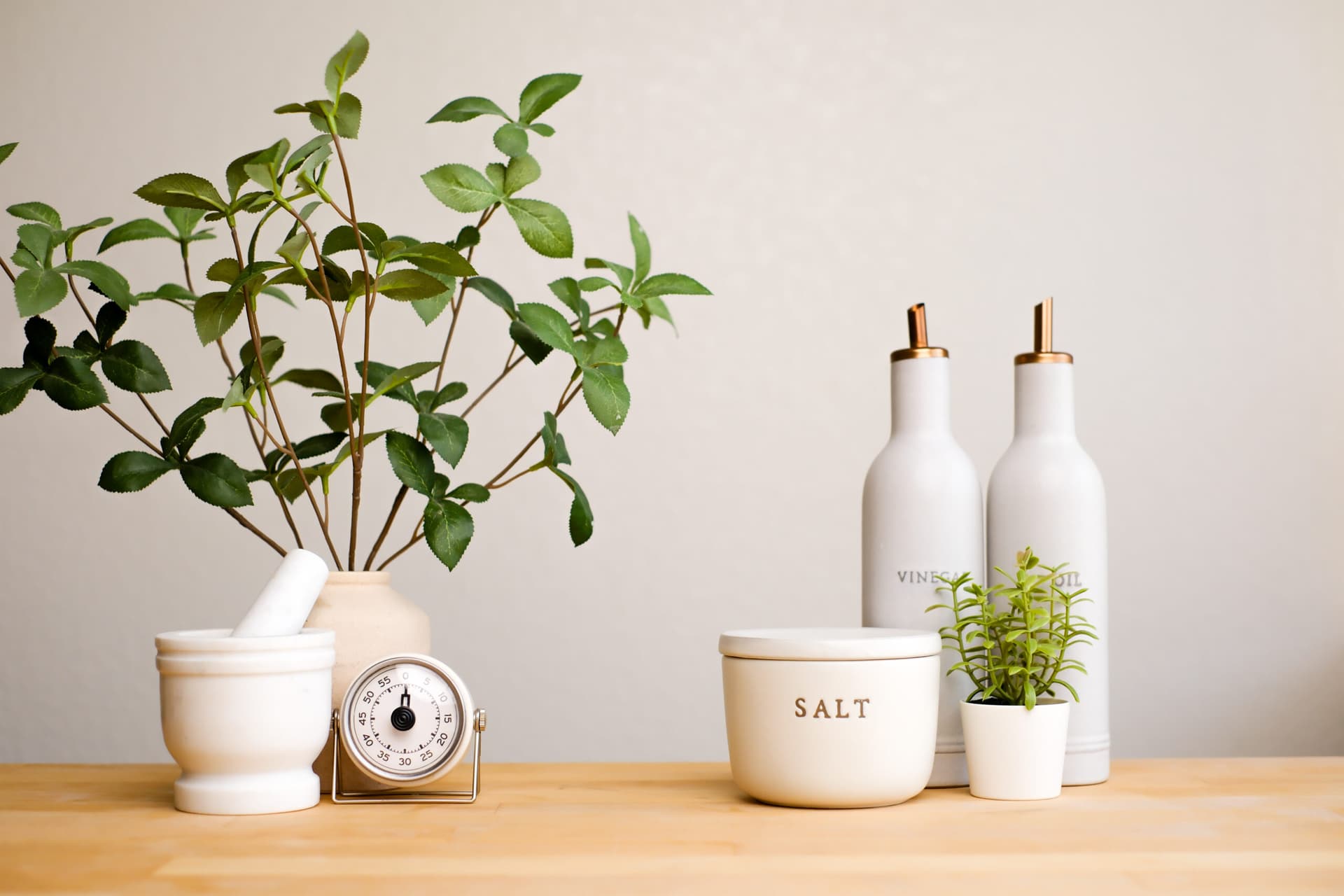 Cost-Effective Natural Pest Prevention Tips for Renters