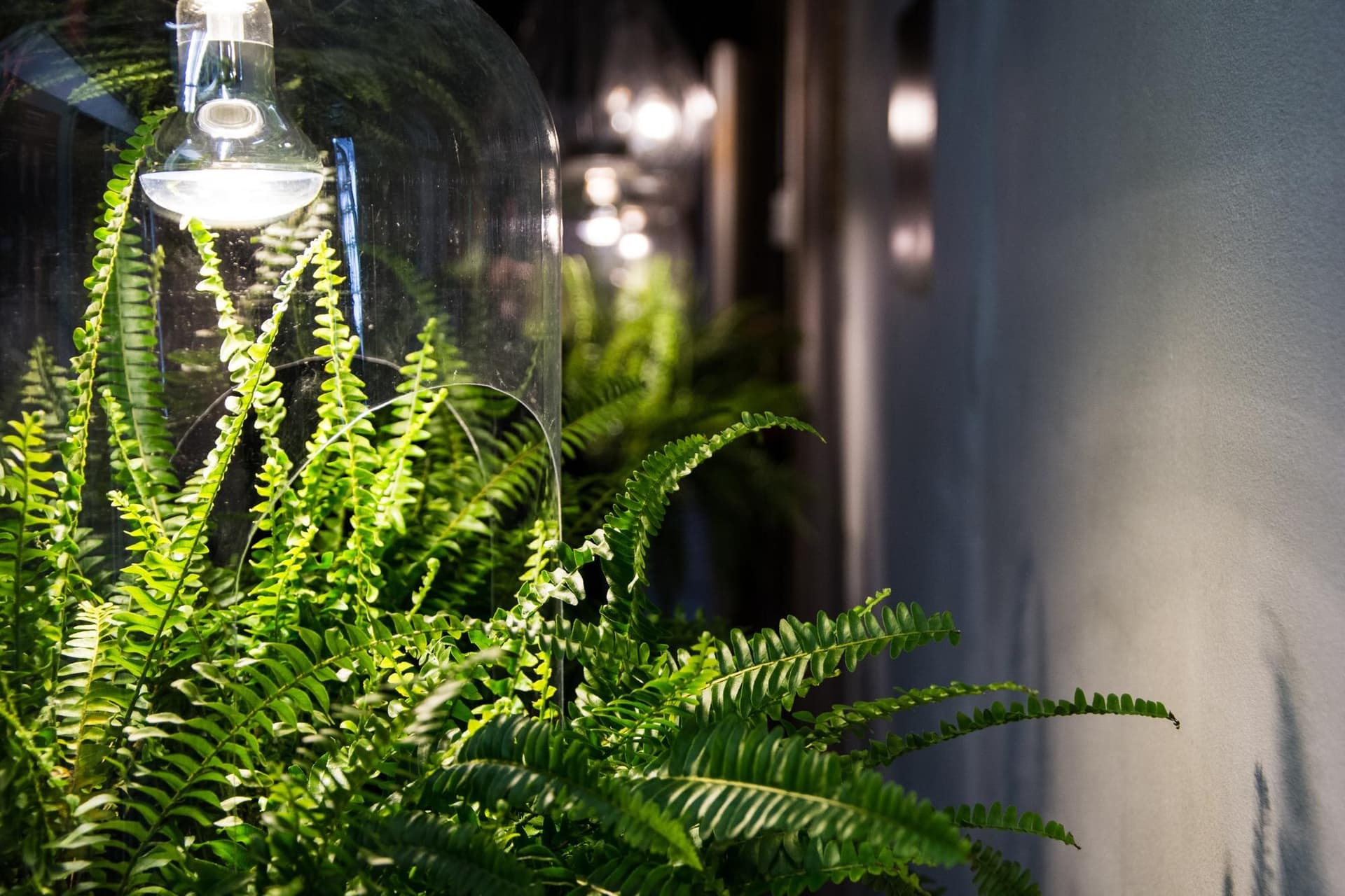 Designing a Pest-Resistant Outdoor Space with Eco-Friendly Practices