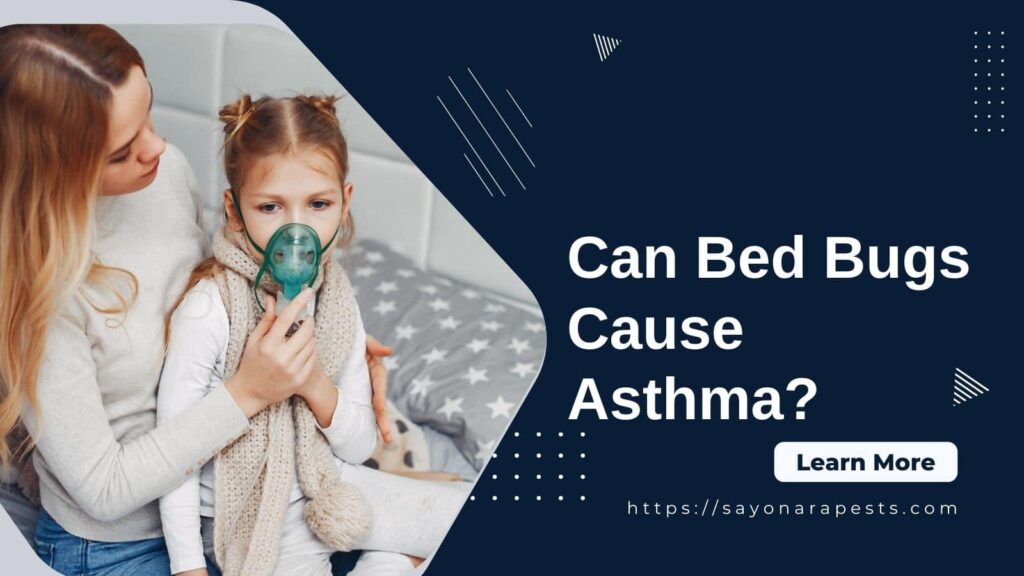 bed bugs and asthma