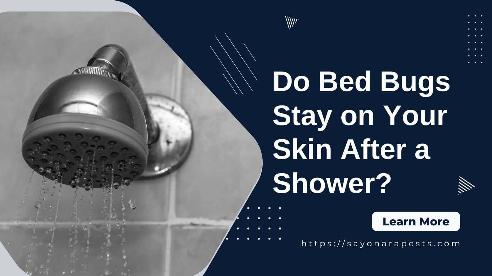 bed bugs on your skin after shower