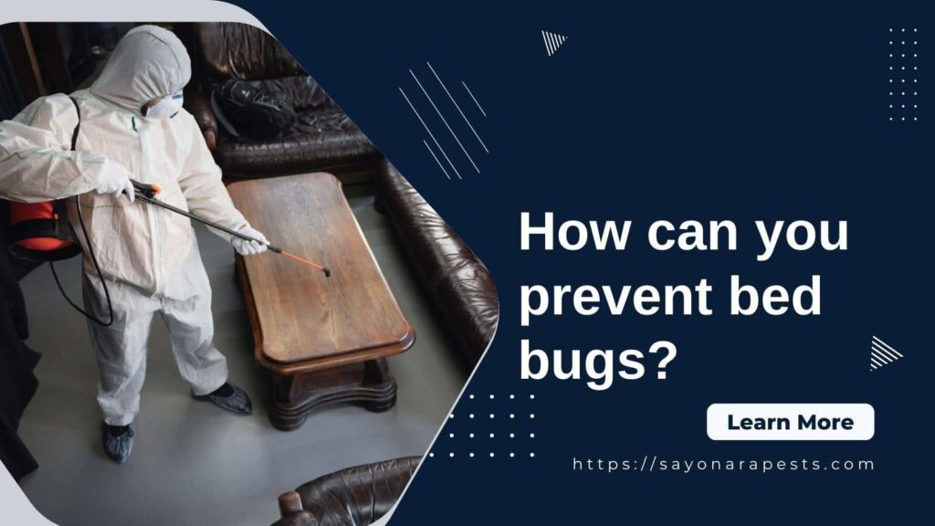 Prevent bed bugs