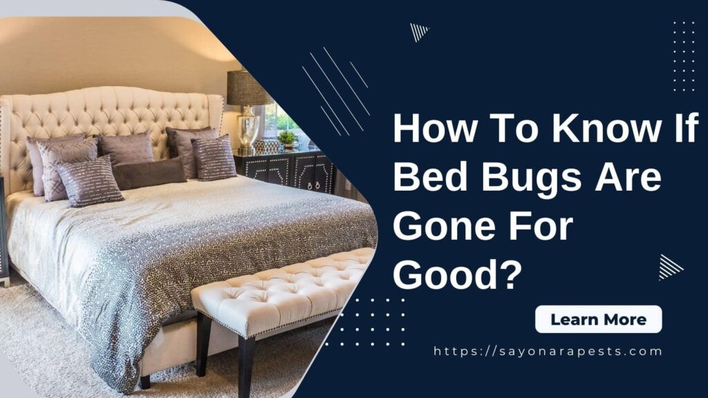 know if bed bugs are gone for good
