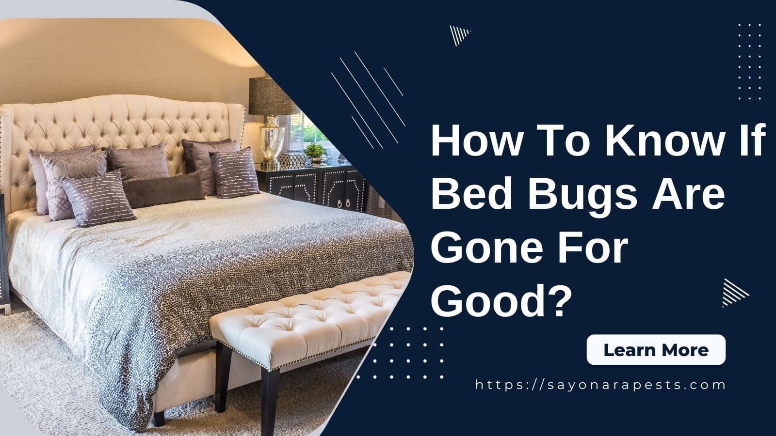 How To Know If Bed Bugs Are Gone For Good? - Sayonara Pests