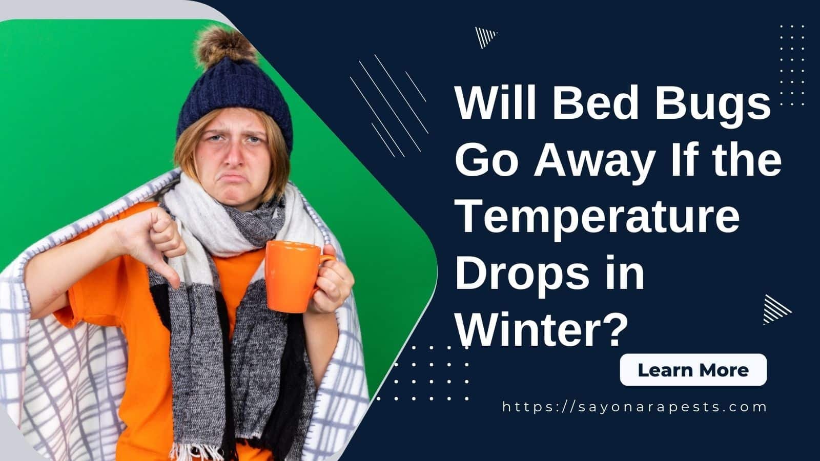 Will Bed Bugs Go Away If the Temperature Drops in Winter? Sayonara Pests