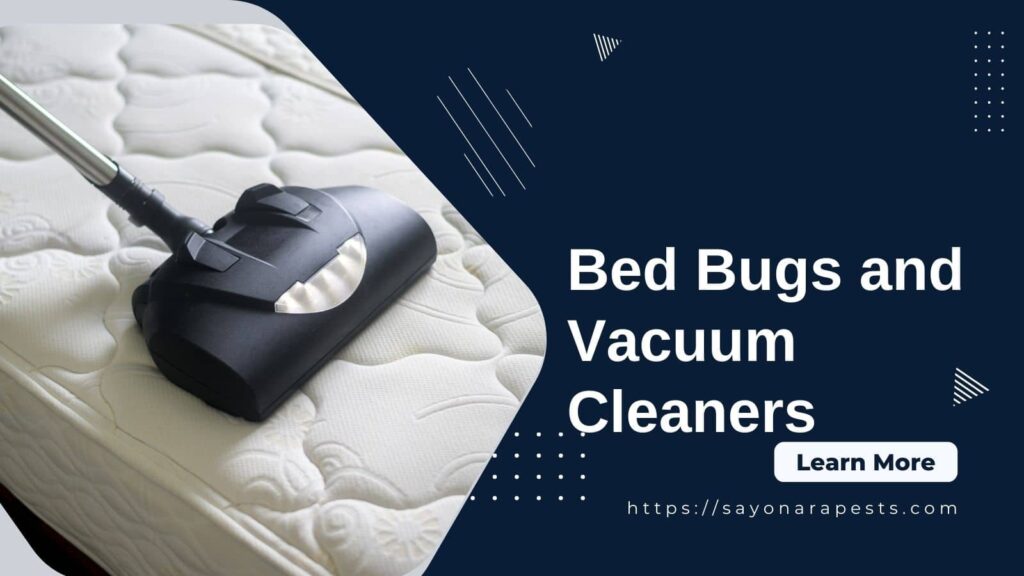 bed bugs and vacuum cleaners