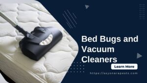 bed bugs and vacuum cleaners