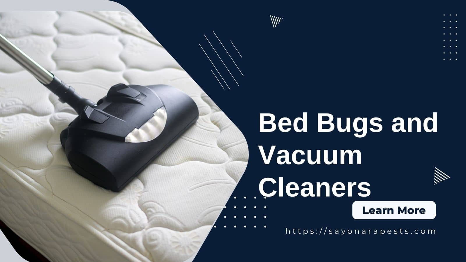 Bed Bugs And Vacuum Cleaners: How To Get Rid Of Bed Bugs With A Vacuum ...