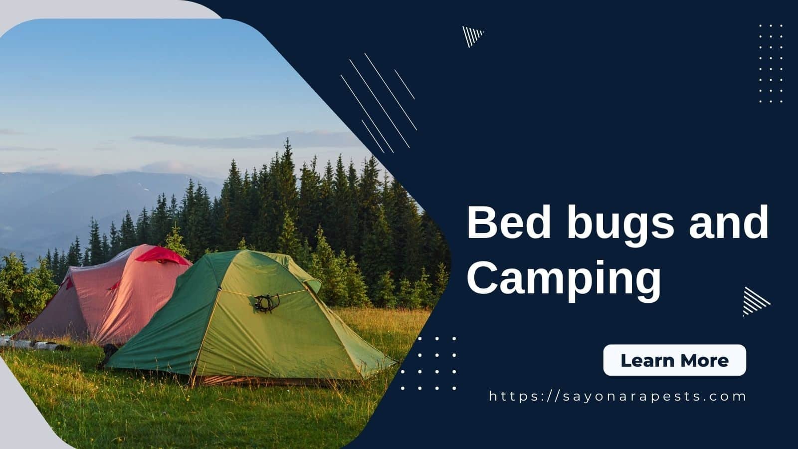 How to Get Rid of Bed Bugs While Camping Sayonara Pests