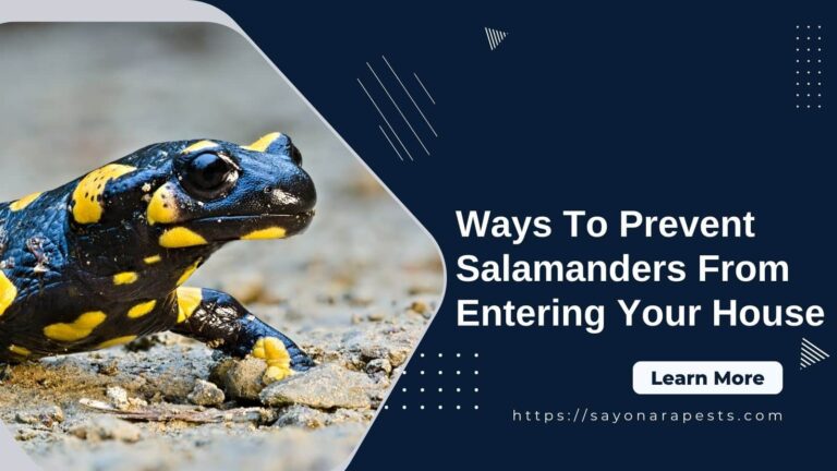ays To Prevent Salamanders From Entering Your House