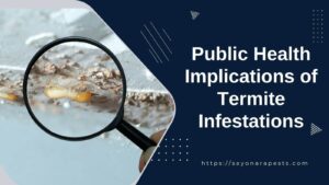Public Health Implications of Termite Infestations