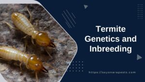 Termite Genetics and Inbreeding