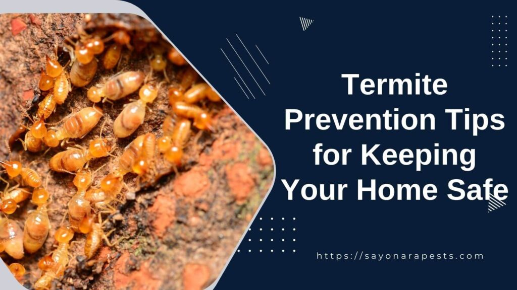 Termite Prevention Tips for Keeping Your Home Safe