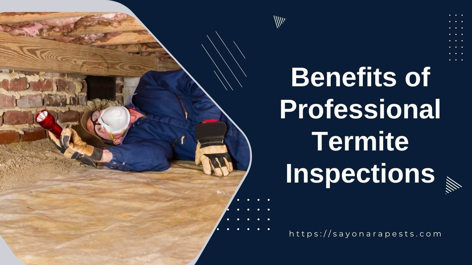 The Benefits Of Professional Termite Inspections Sayonara Pests 7910