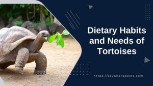 Dietary Habits and Needs of Tortoises