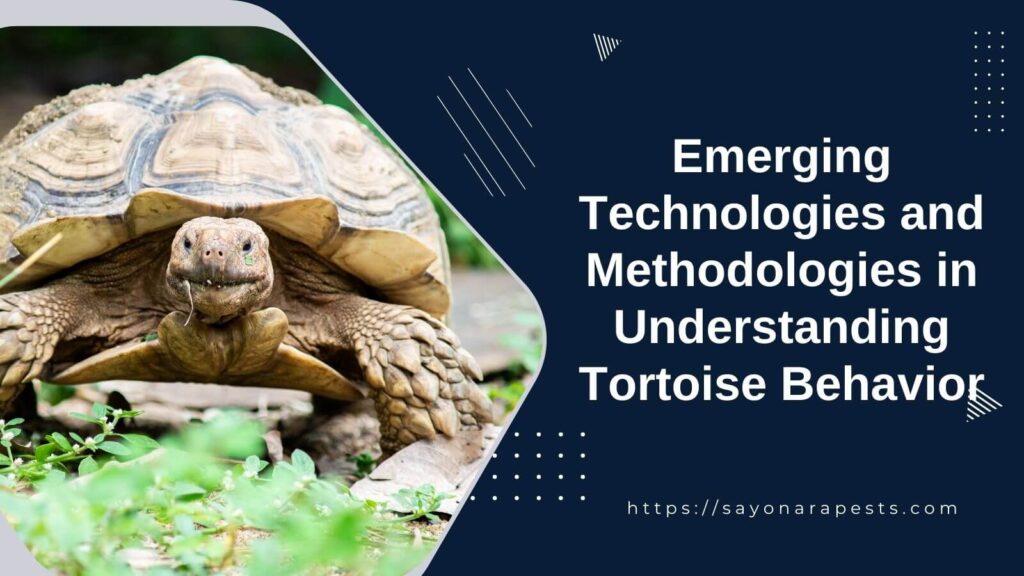 Emerging Technologies and Methodologies in Understanding Tortoise Behavior