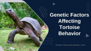 Genetic Factors Affecting Tortoise Behavior