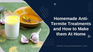 Homemade Anti-Termite Treatments and How to Make them At Home
