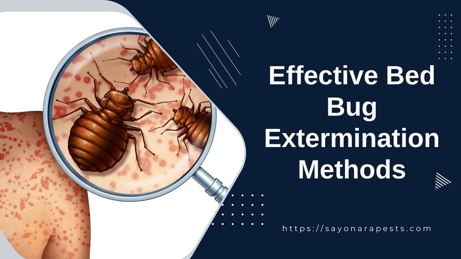 Powerful and Effective Extermination Methods | Sayonara Pests